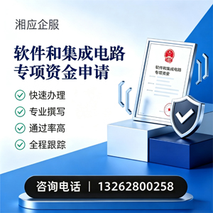 荆州软件和集成电路专项资金申报服务
