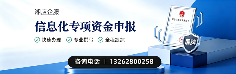 荆州信息化专项资金申报服务