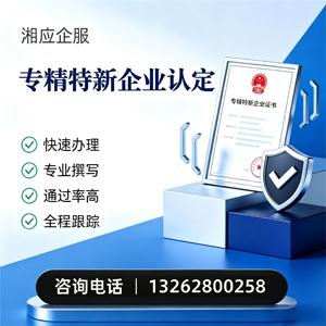 荆州专精特新企业申报服务