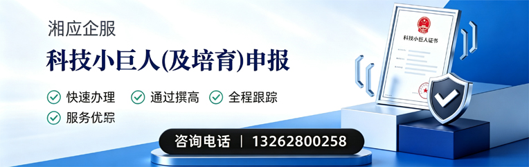 荆州科技小巨人及培育企业申报服务