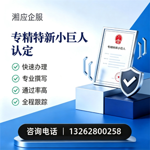 荆州专精特新小巨人申报服务