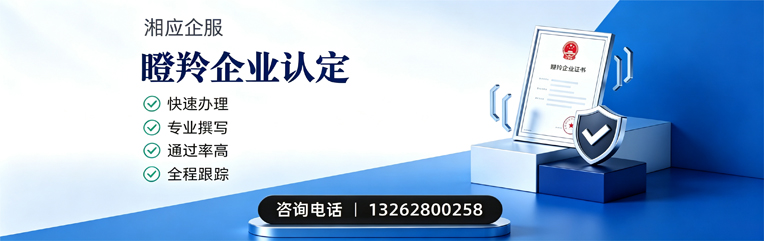 荆州瞪羚企业认定申报服务