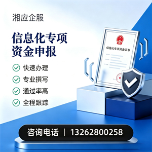 荆州信息化专项资金申报服务