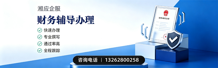 荆州财务辅导申请服务
