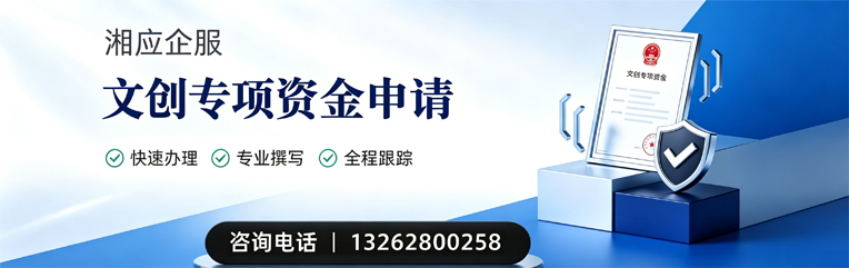 荆州文创专项资金申报服务
