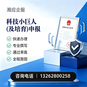 荆州科技小巨人及培育企业申报服务
