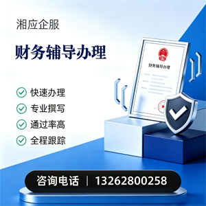 荆州财务辅导申请服务