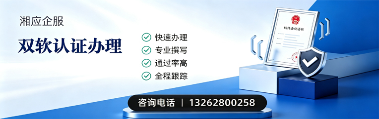 荆州双软认证申报服务