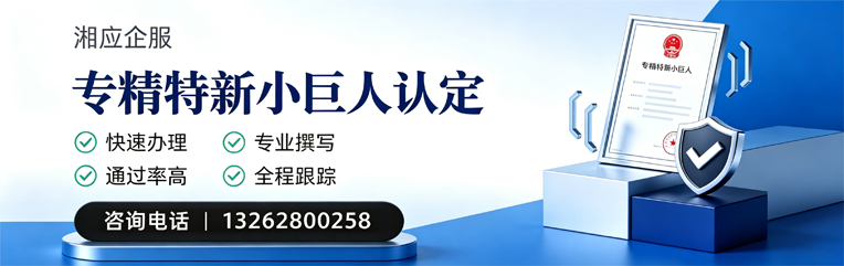 荆州专精特新小巨人申报服务